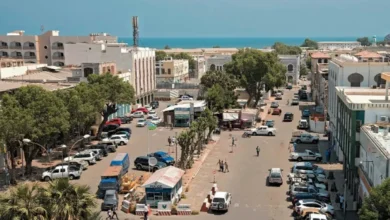 معلومات عن دولة جيبوتي